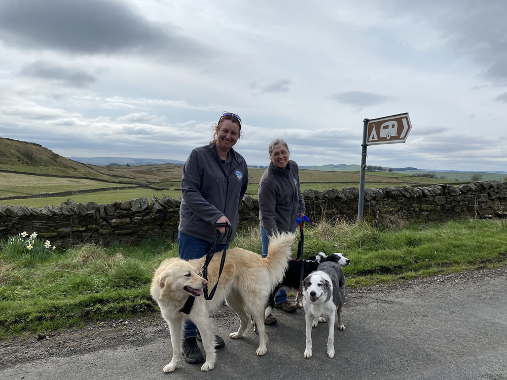 A couple stands with their two dogs on a country lane, with Hadrian's Wall and a stunning sunrise creating a scenic backdrop. The sky is painted with warm hues, casting a golden glow over the historic wall and the surrounding landscape. The couple looks content, enjoying the peaceful morning with their pets.